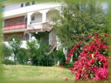 Alexander Hotel 3*